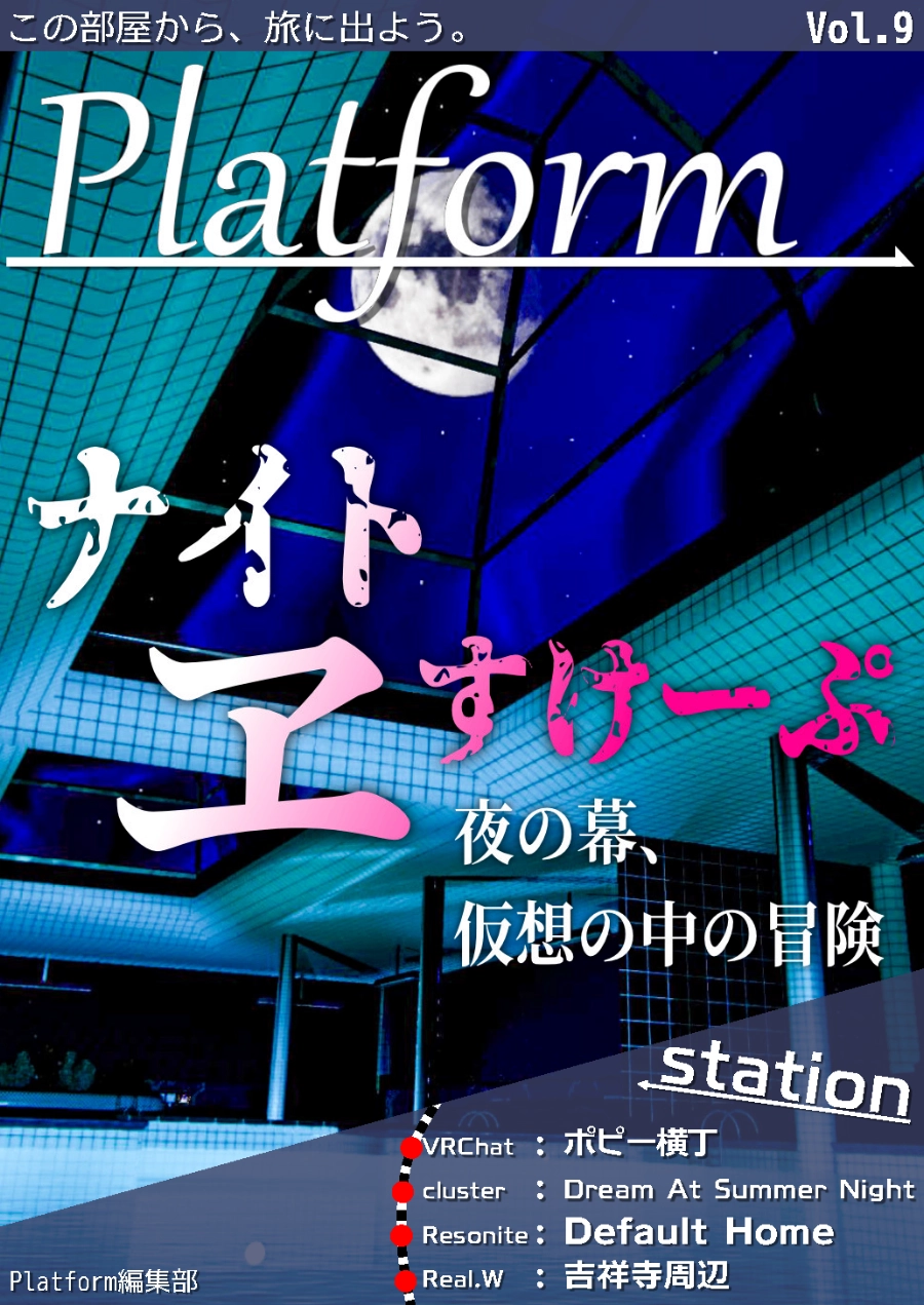 【フリーペーパー】メタバース写真旅行誌『Platform』Vol.9 ナイトヱスケープ